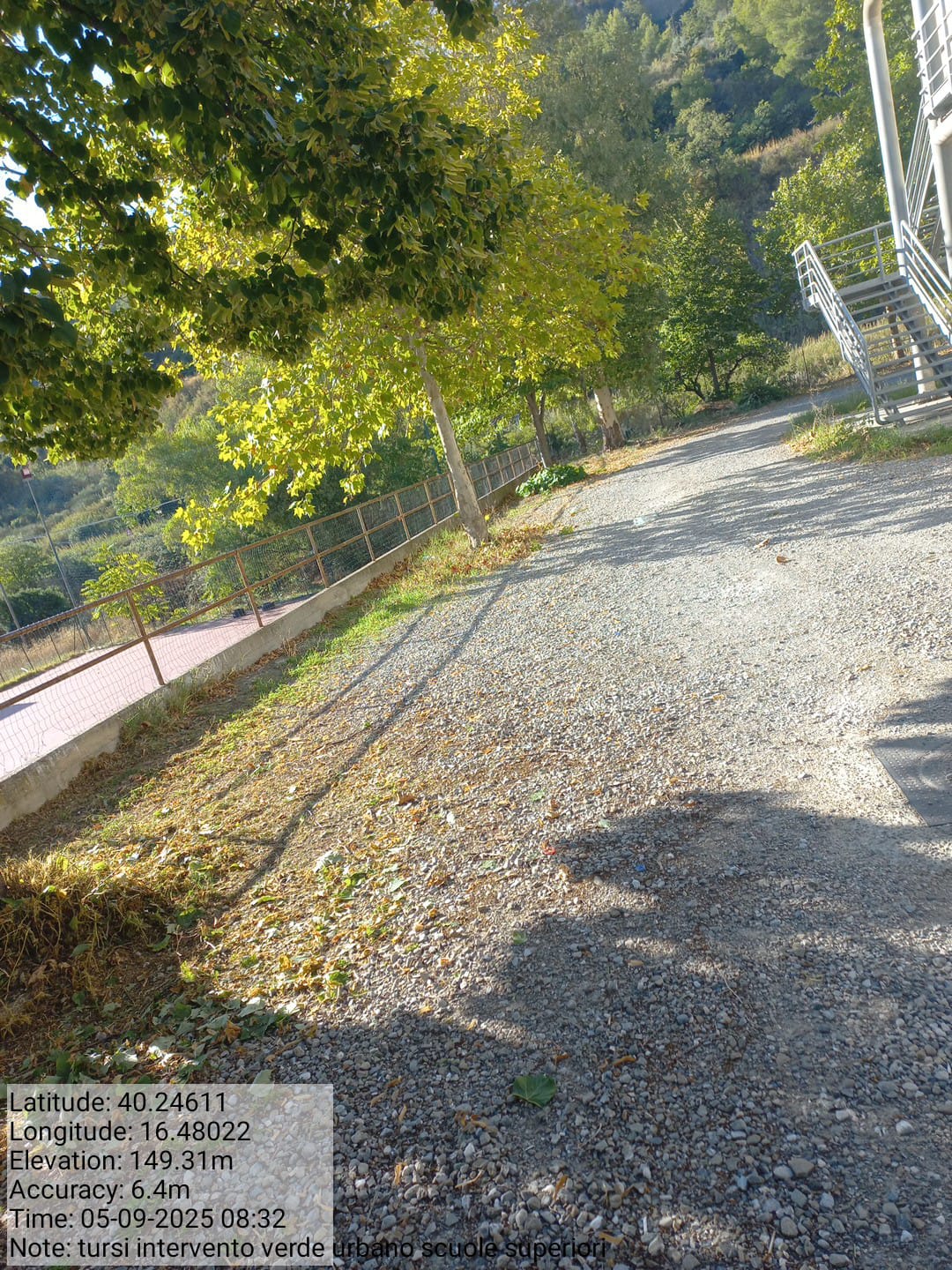 Galleria Fotografica Immagine