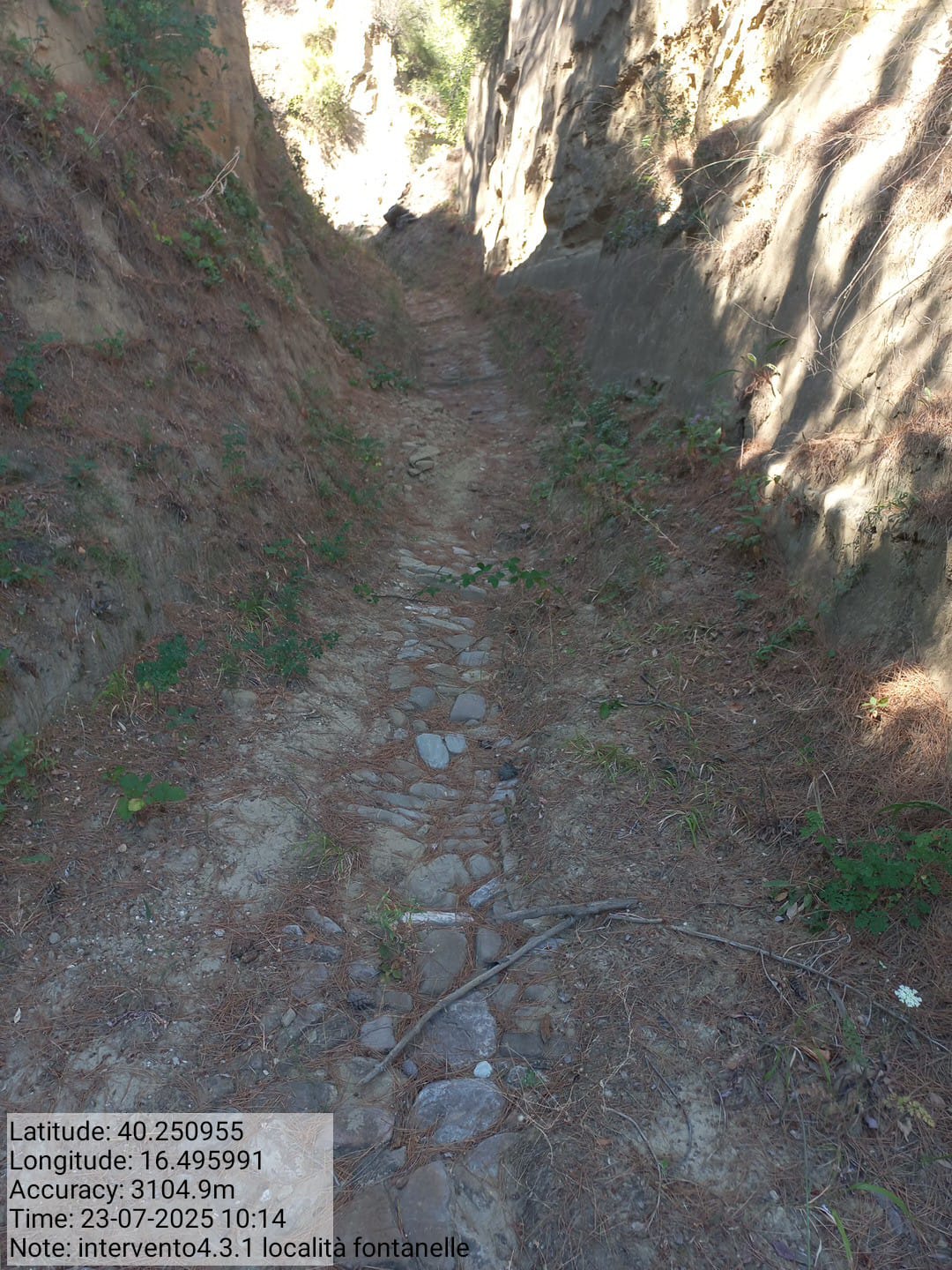 Galleria Fotografica Immagine