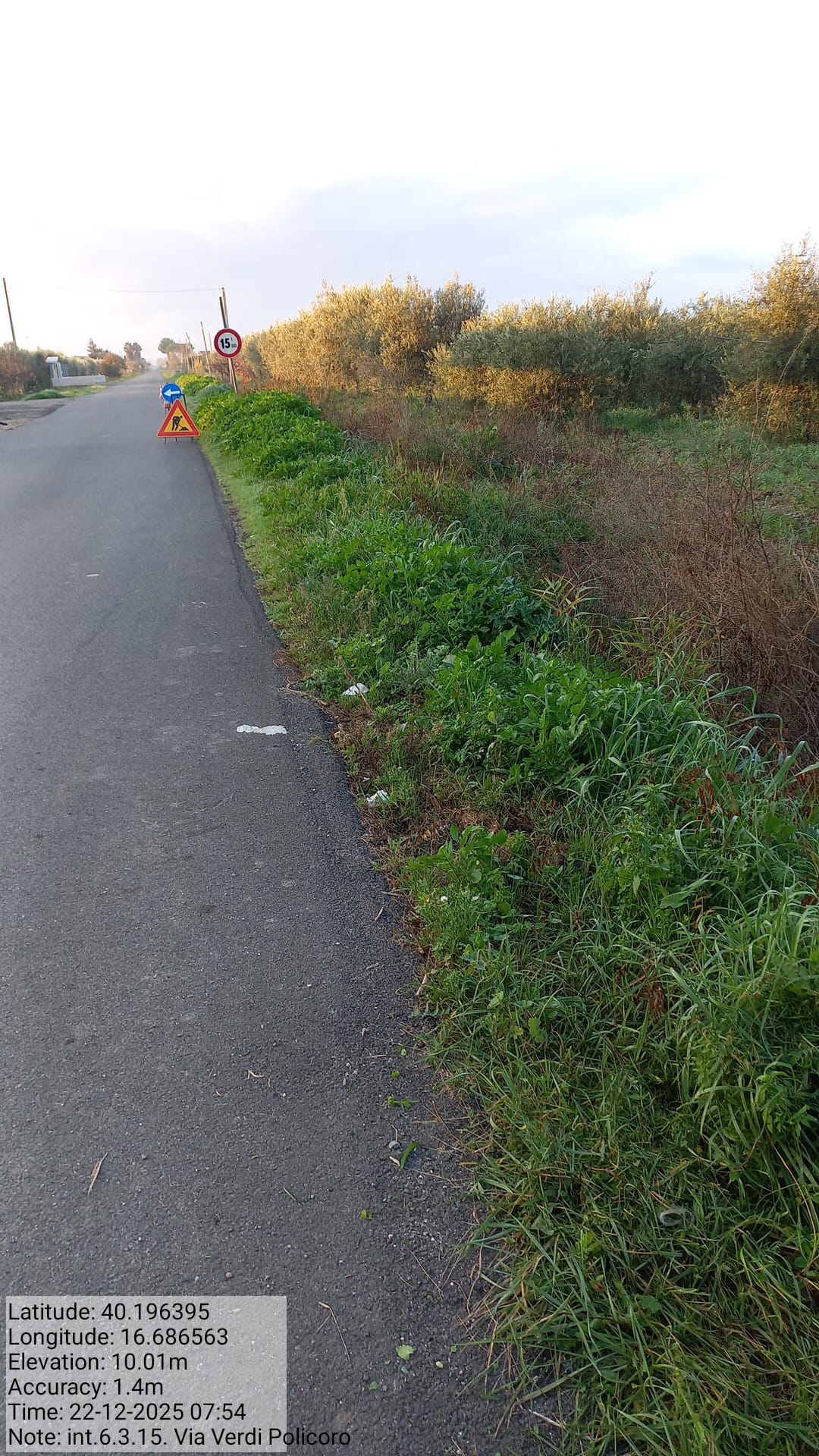 Galleria Fotografica Immagine