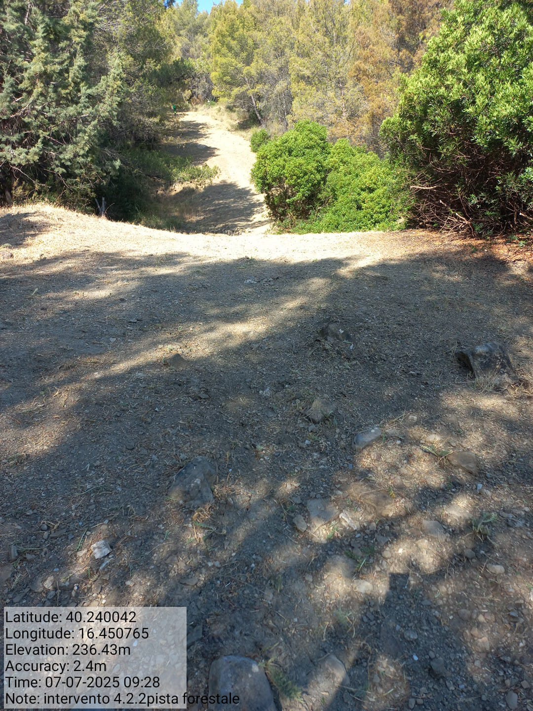 Galleria Fotografica Immagine