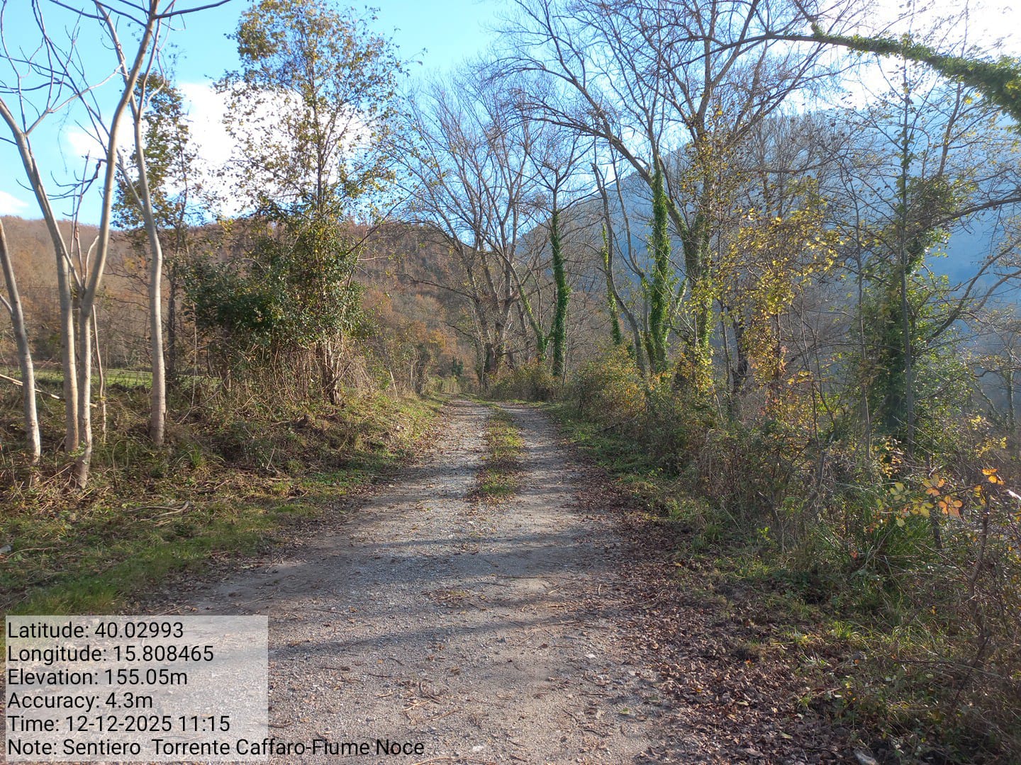 Galleria Fotografica Immagine