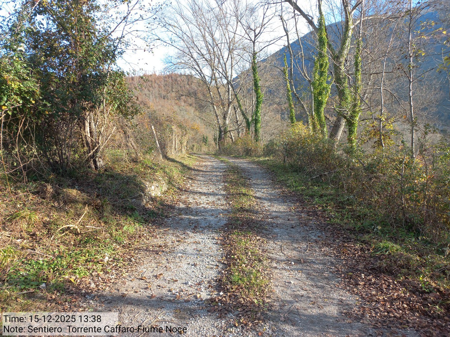 Galleria Fotografica Immagine