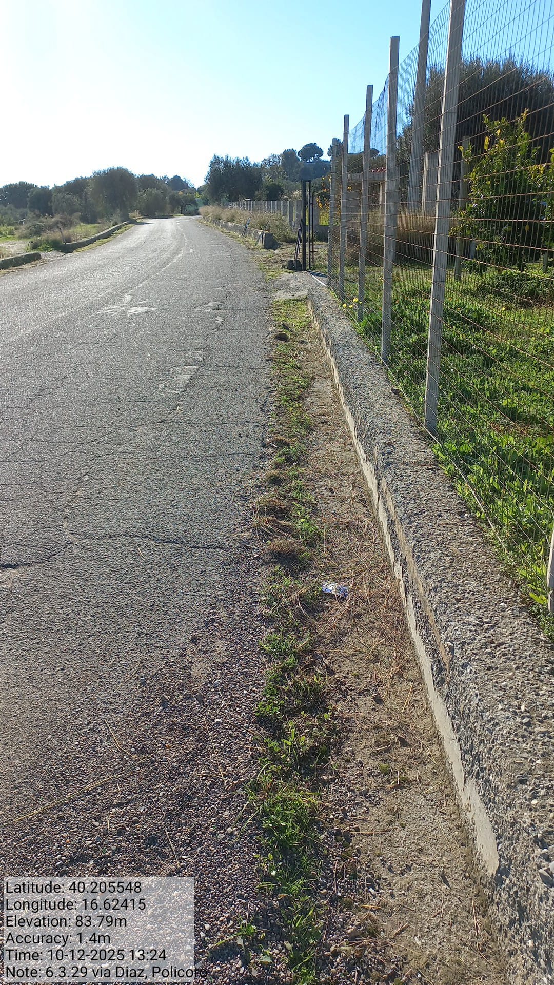 Galleria Fotografica Immagine