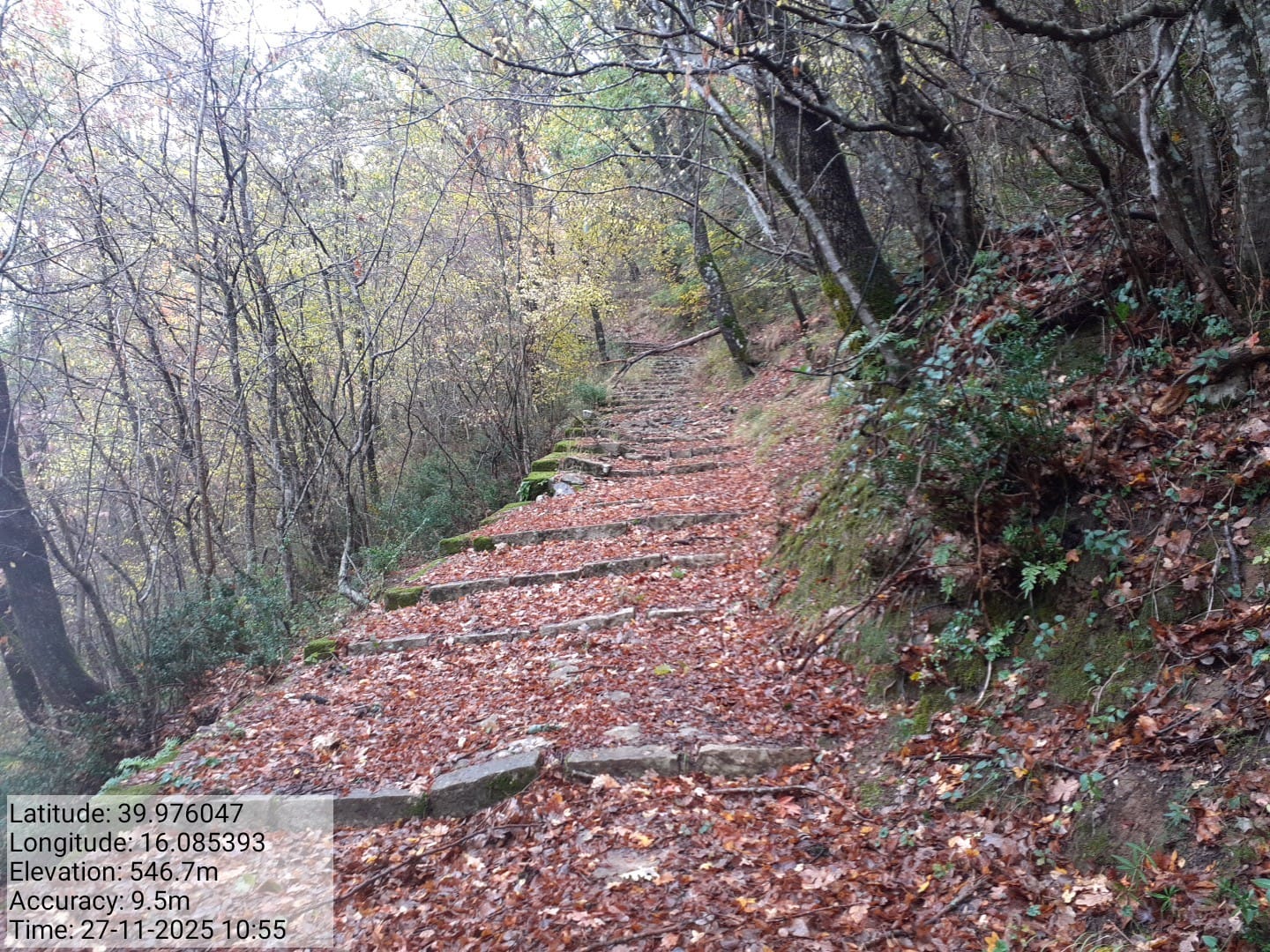 Galleria Fotografica Immagine