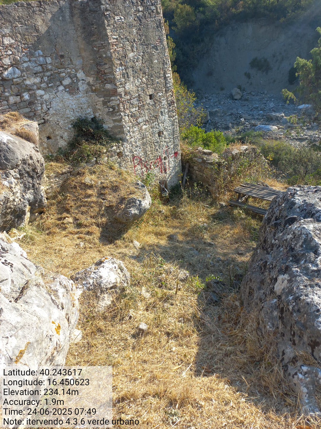 Galleria Fotografica Immagine