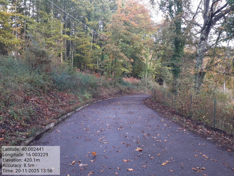 Galleria Fotografica Immagine