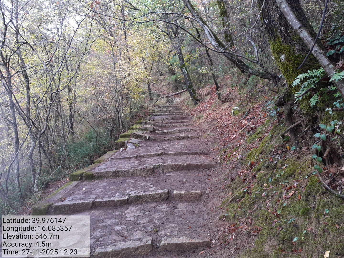 Galleria Fotografica Immagine