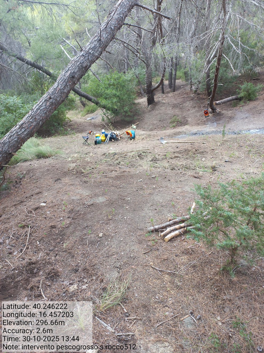 Galleria Fotografica Immagine