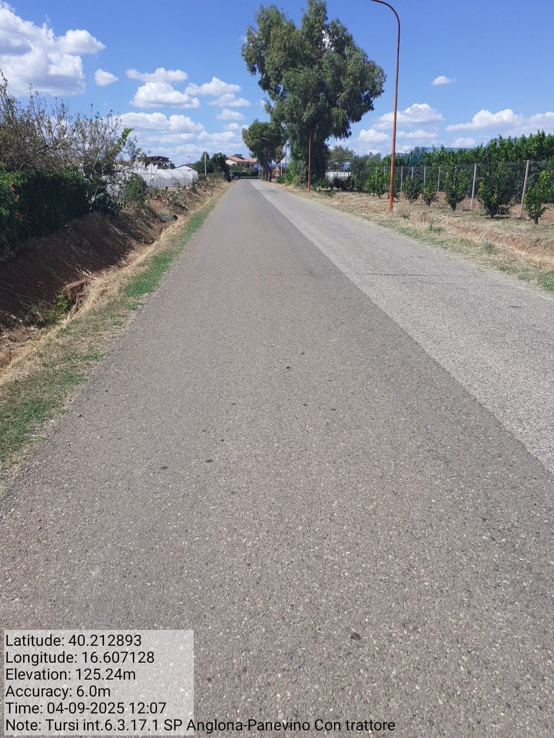 Galleria Fotografica Immagine