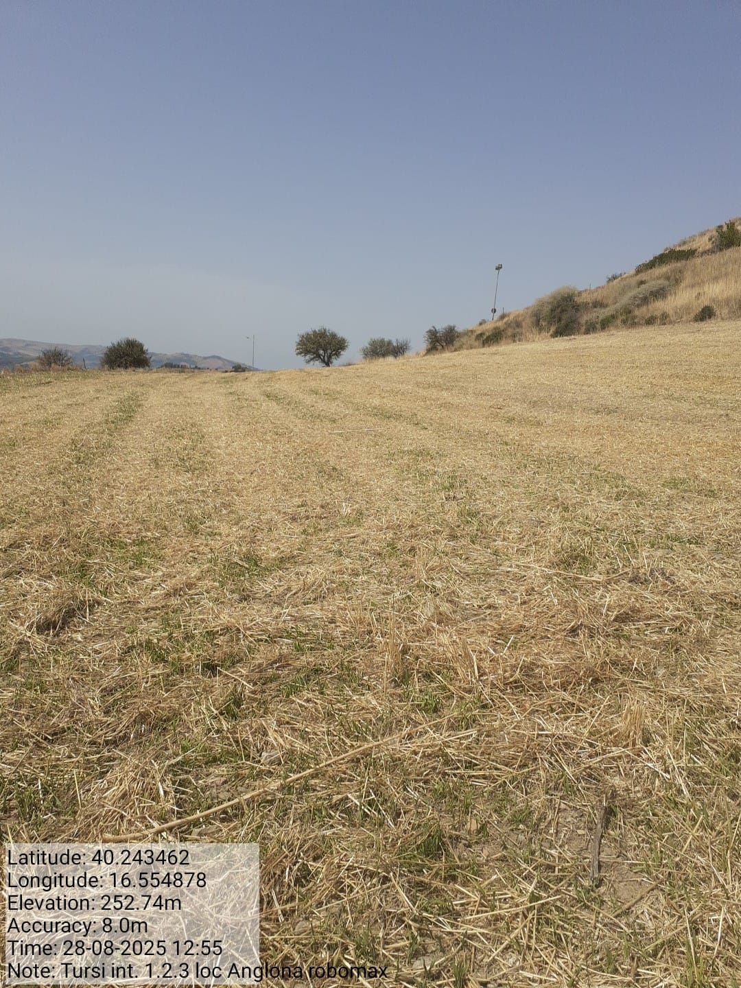 Galleria Fotografica Immagine