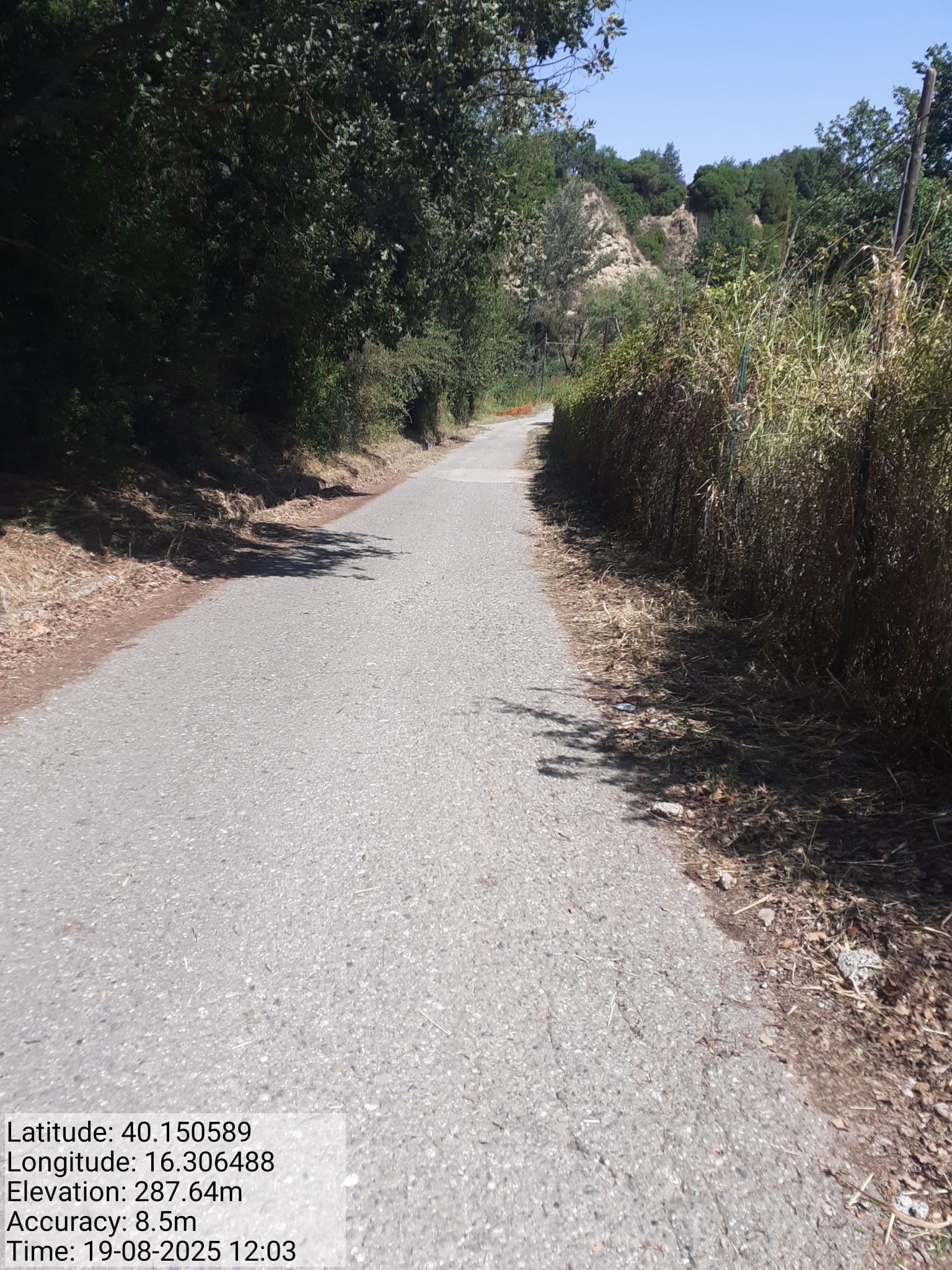 Galleria Fotografica Immagine