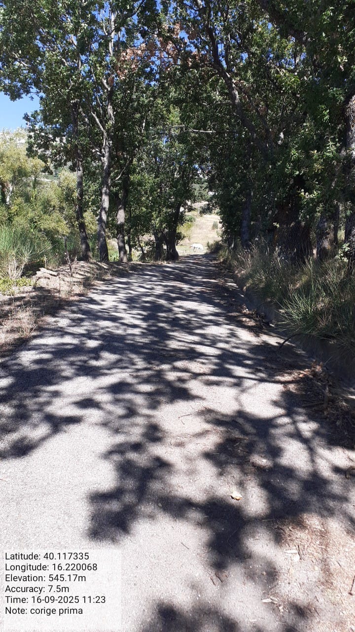 Galleria Fotografica Immagine