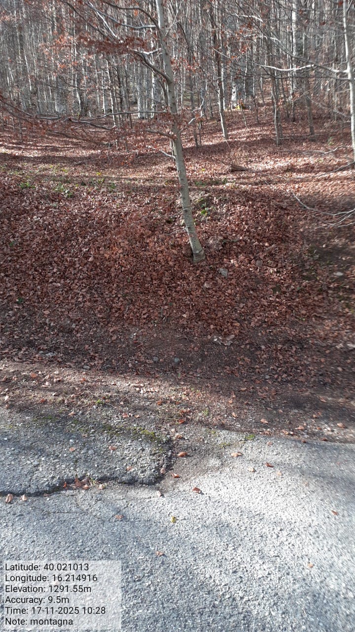 Galleria Fotografica Immagine