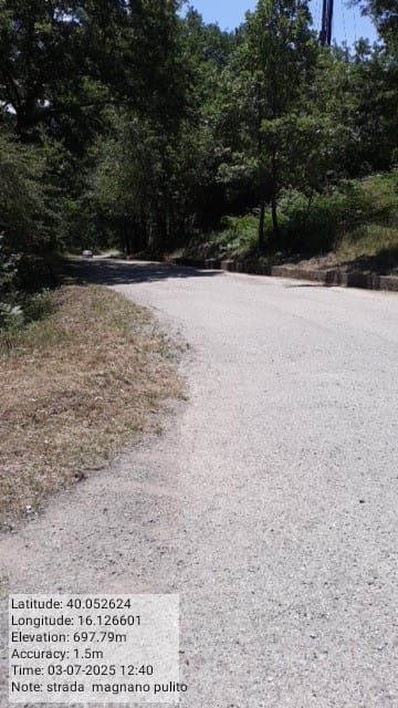 Galleria Fotografica Immagine