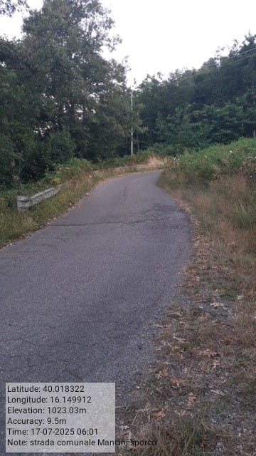 Galleria Fotografica Immagine