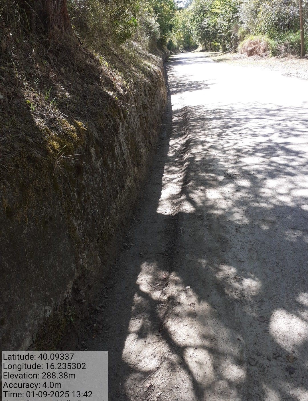 Galleria Fotografica Immagine