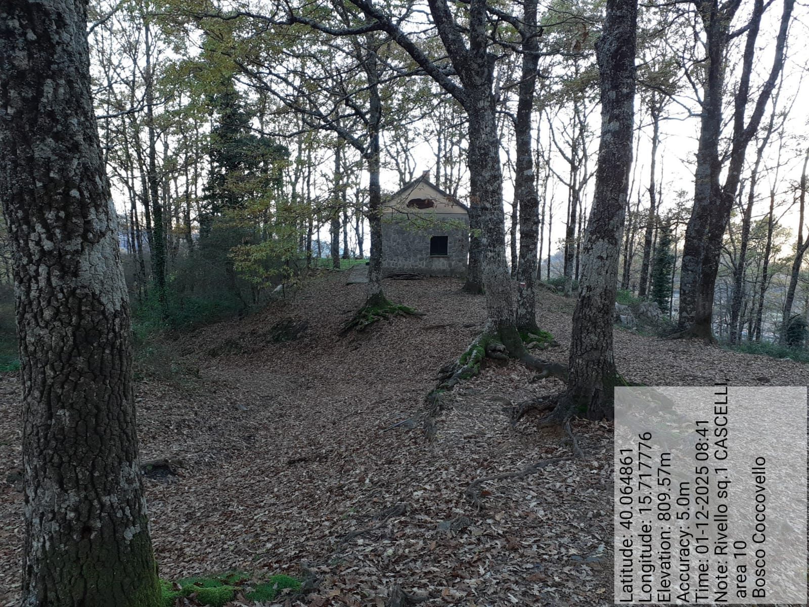 Galleria Fotografica Immagine