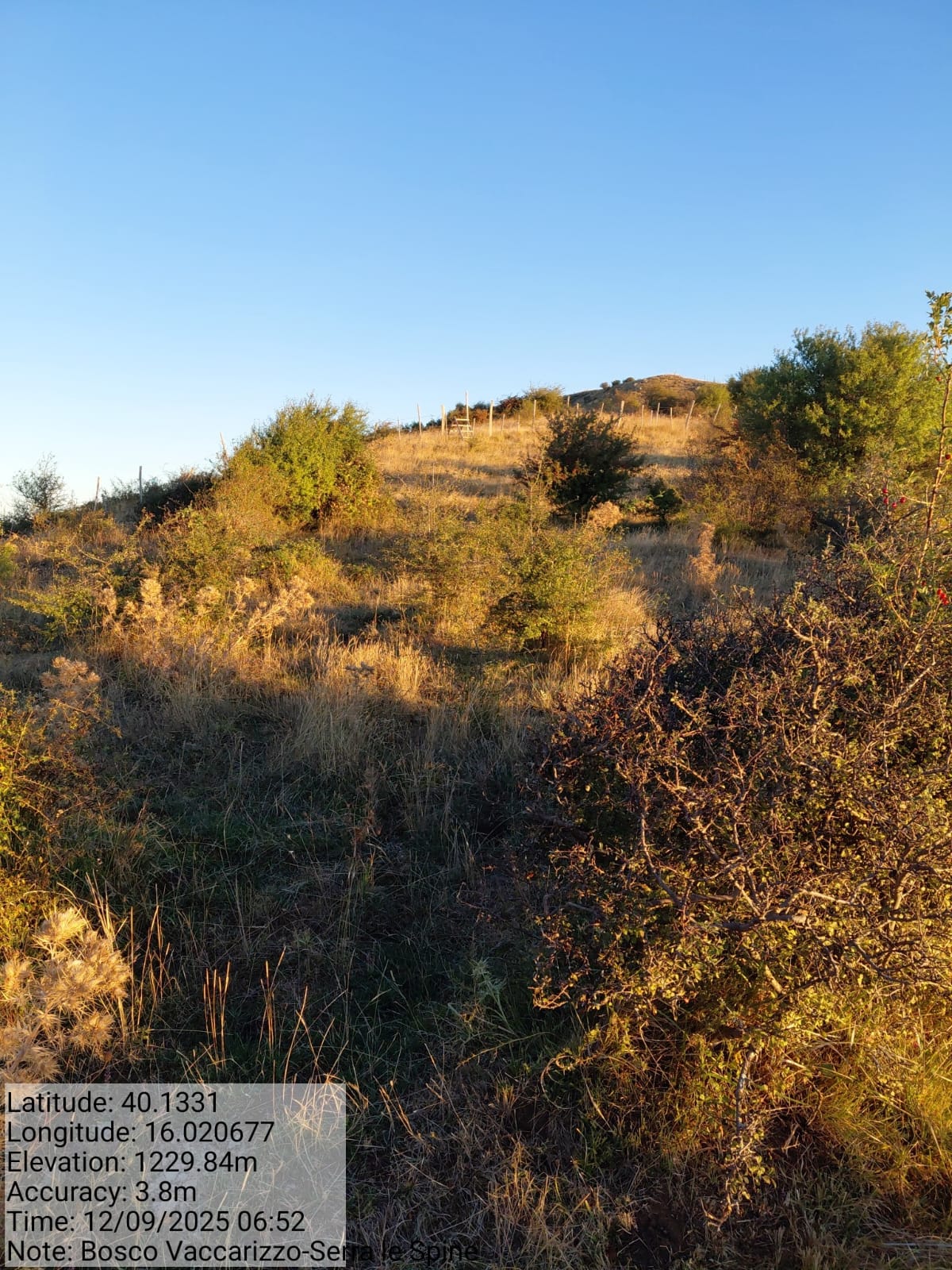 Galleria Fotografica Immagine