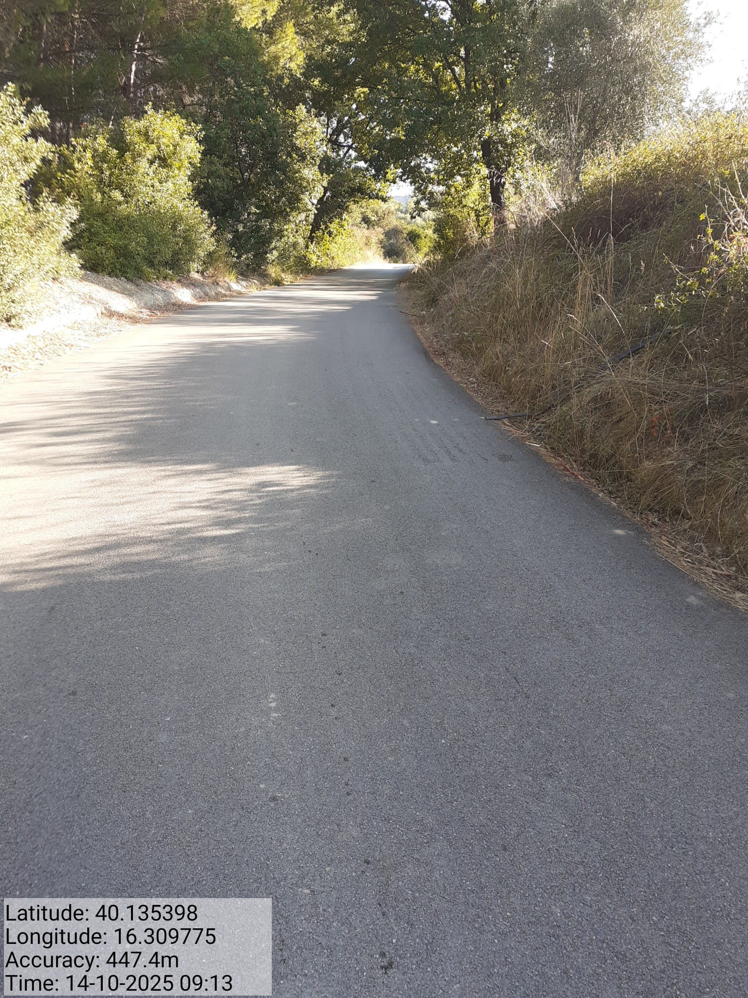 Galleria Fotografica Immagine