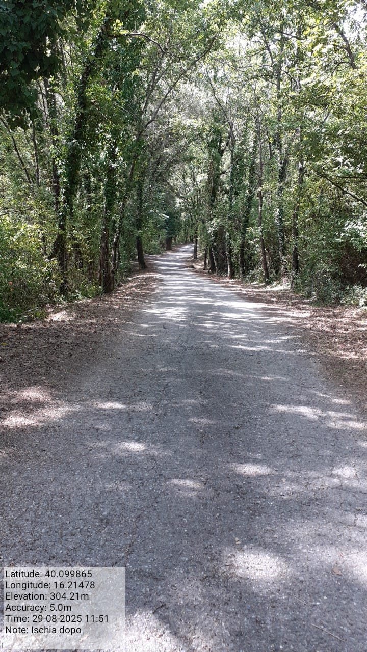 Galleria Fotografica Immagine