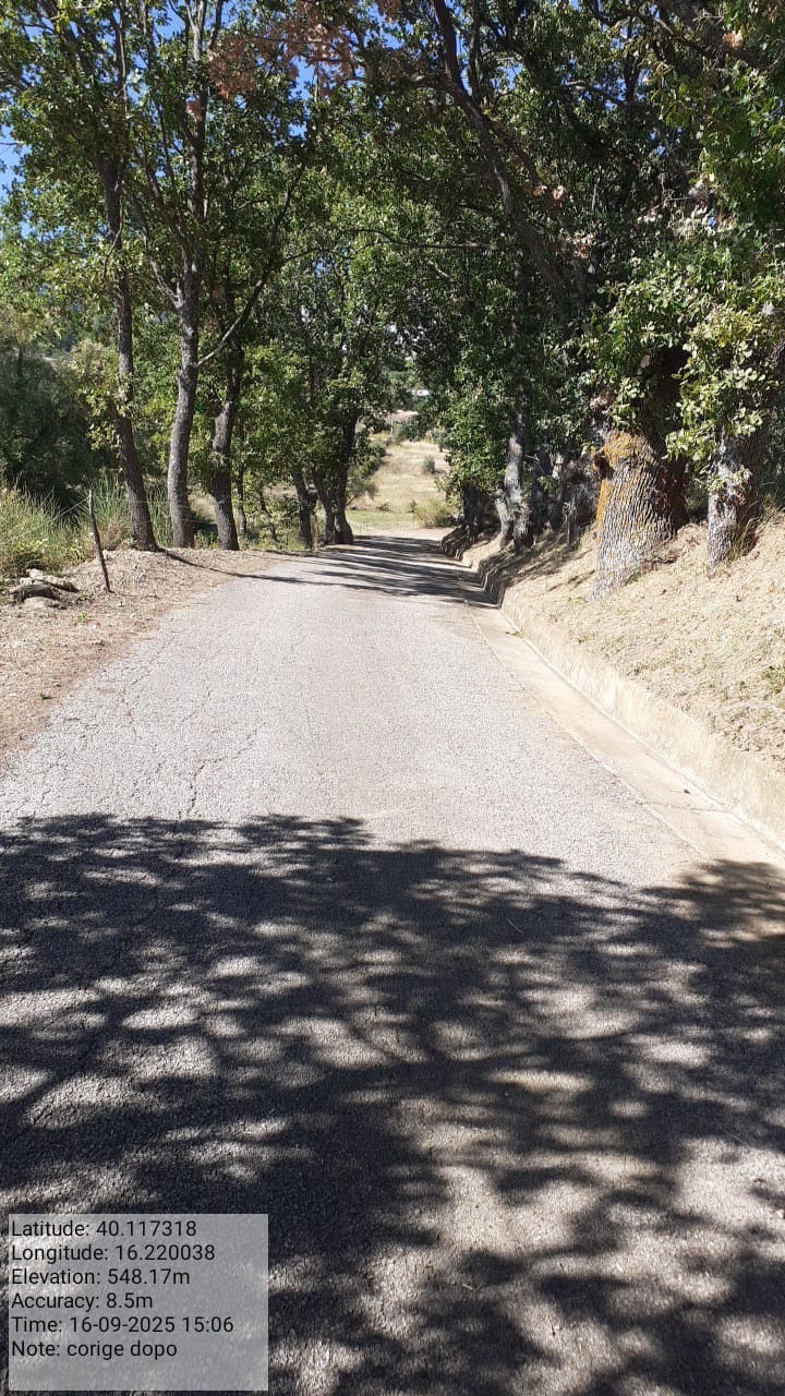 Galleria Fotografica Immagine