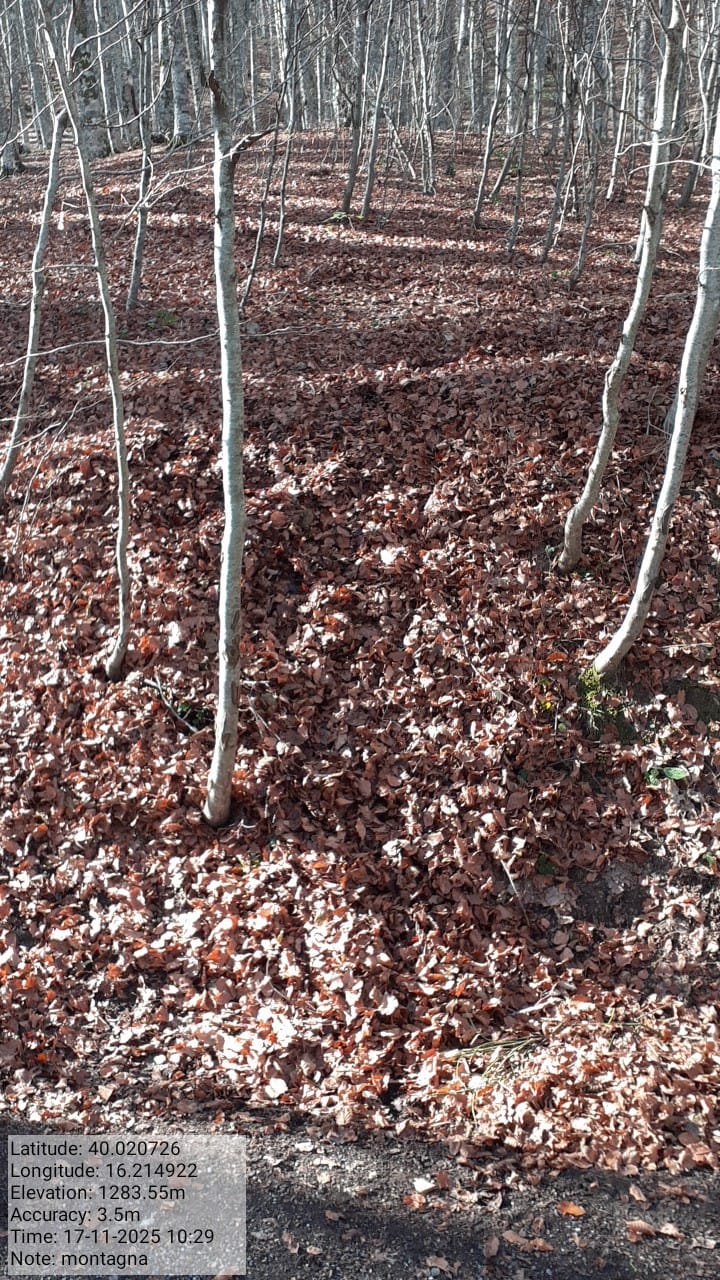 Galleria Fotografica Immagine