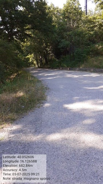 Galleria Fotografica Immagine