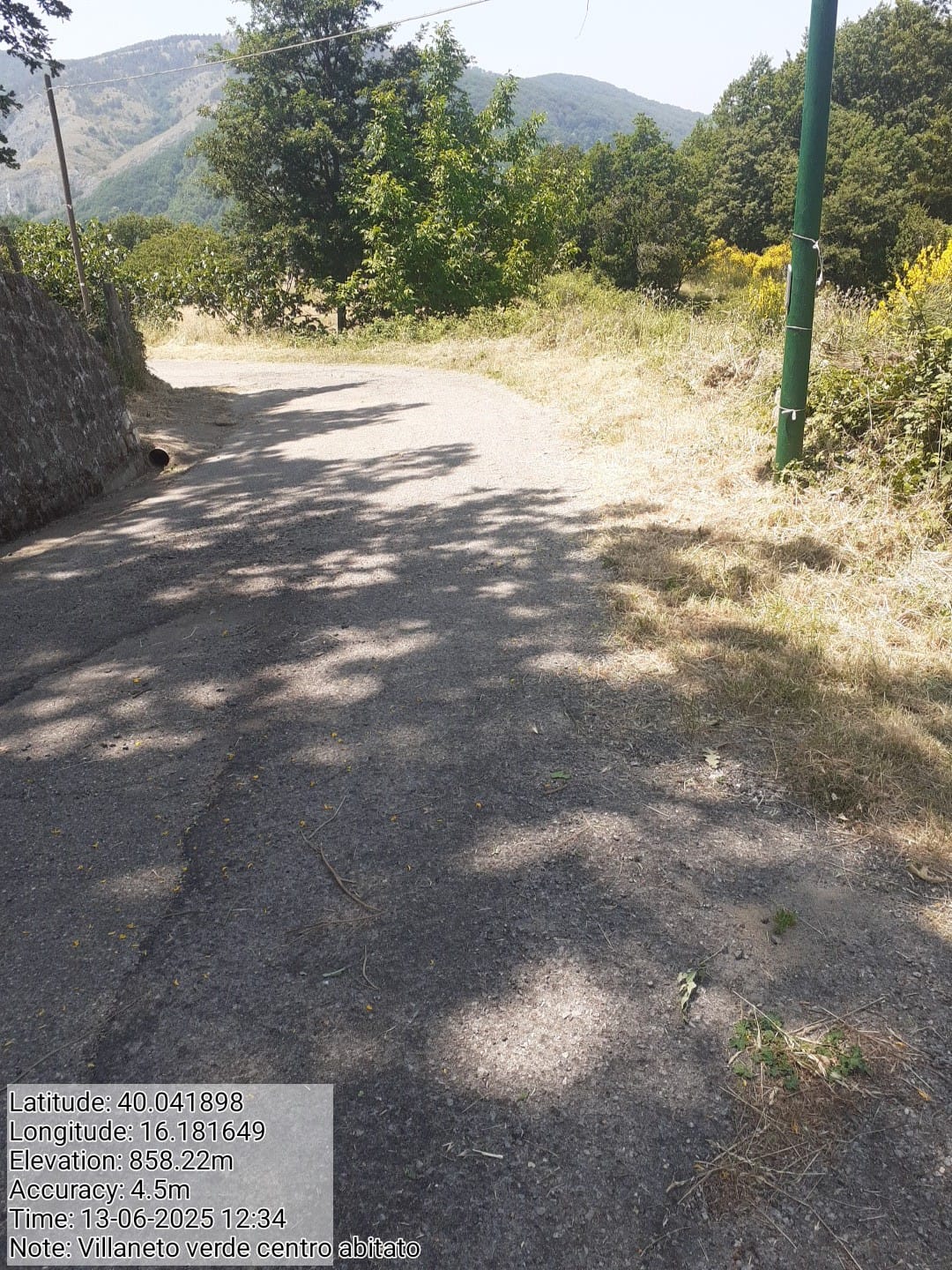 Galleria Fotografica Immagine