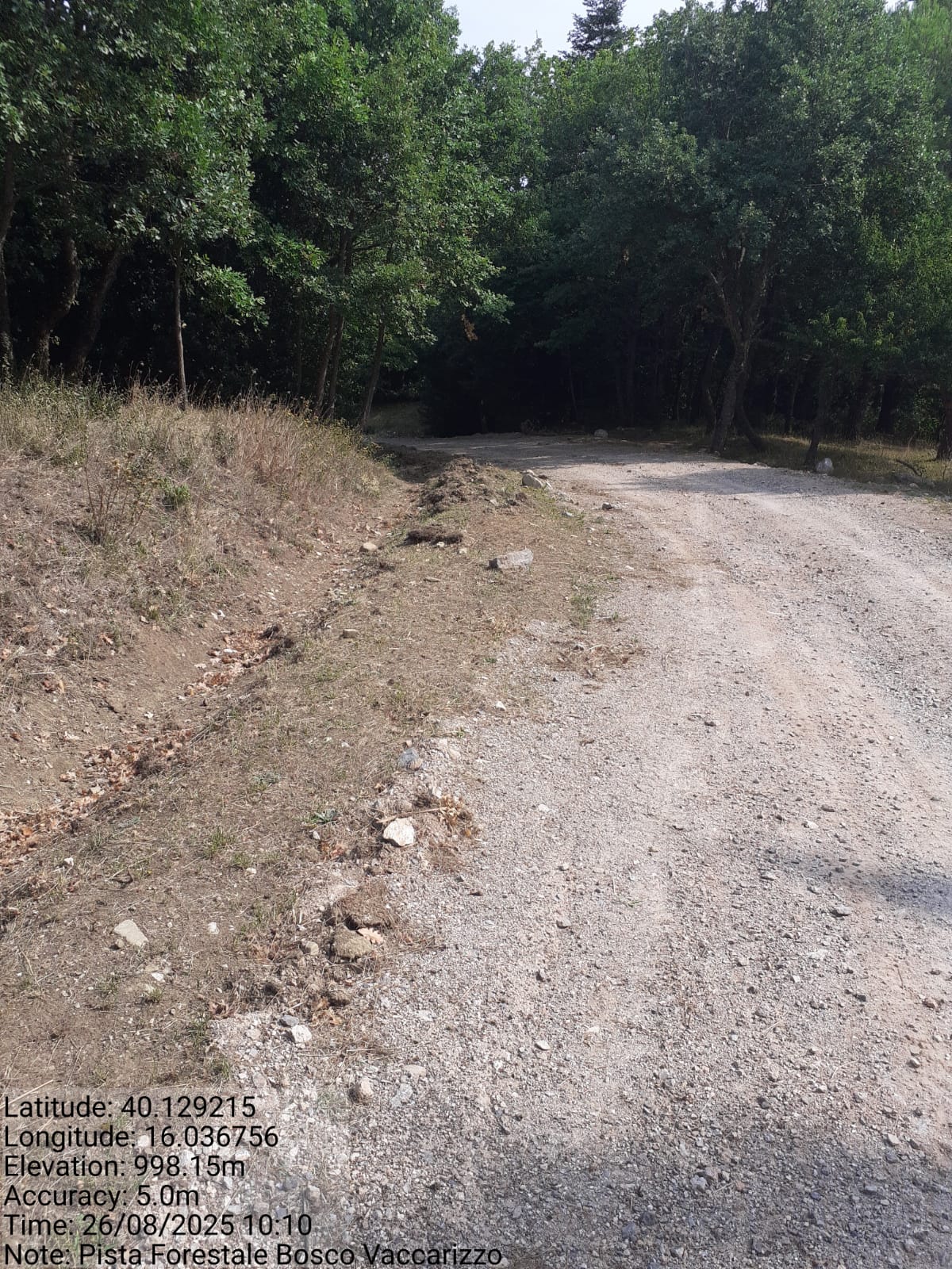 Galleria Fotografica Immagine