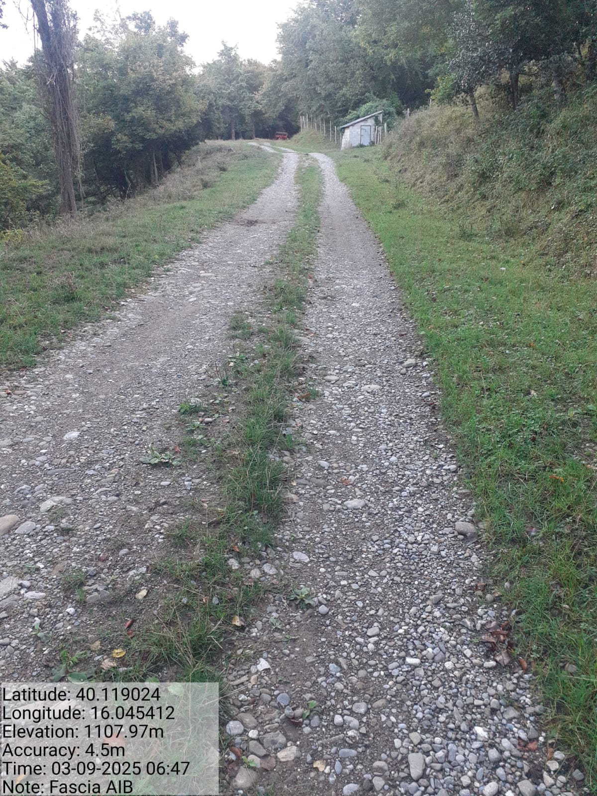 Galleria Fotografica Immagine