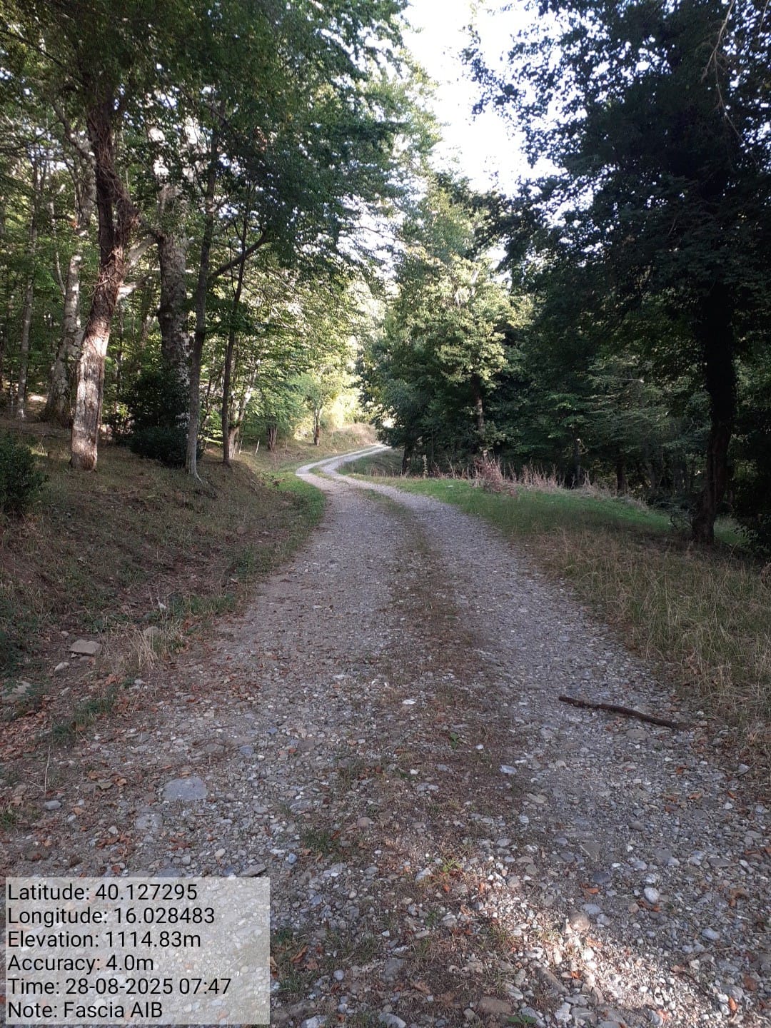 Galleria Fotografica Immagine