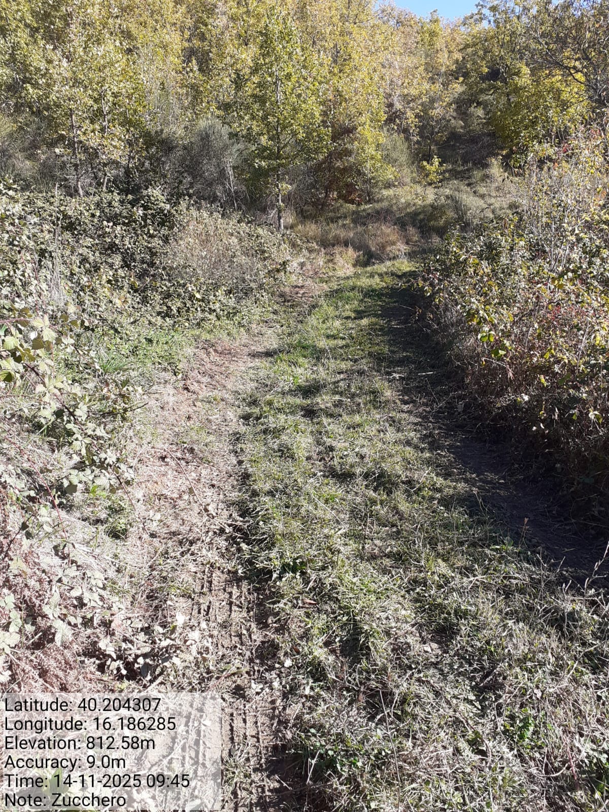 Galleria Fotografica Immagine