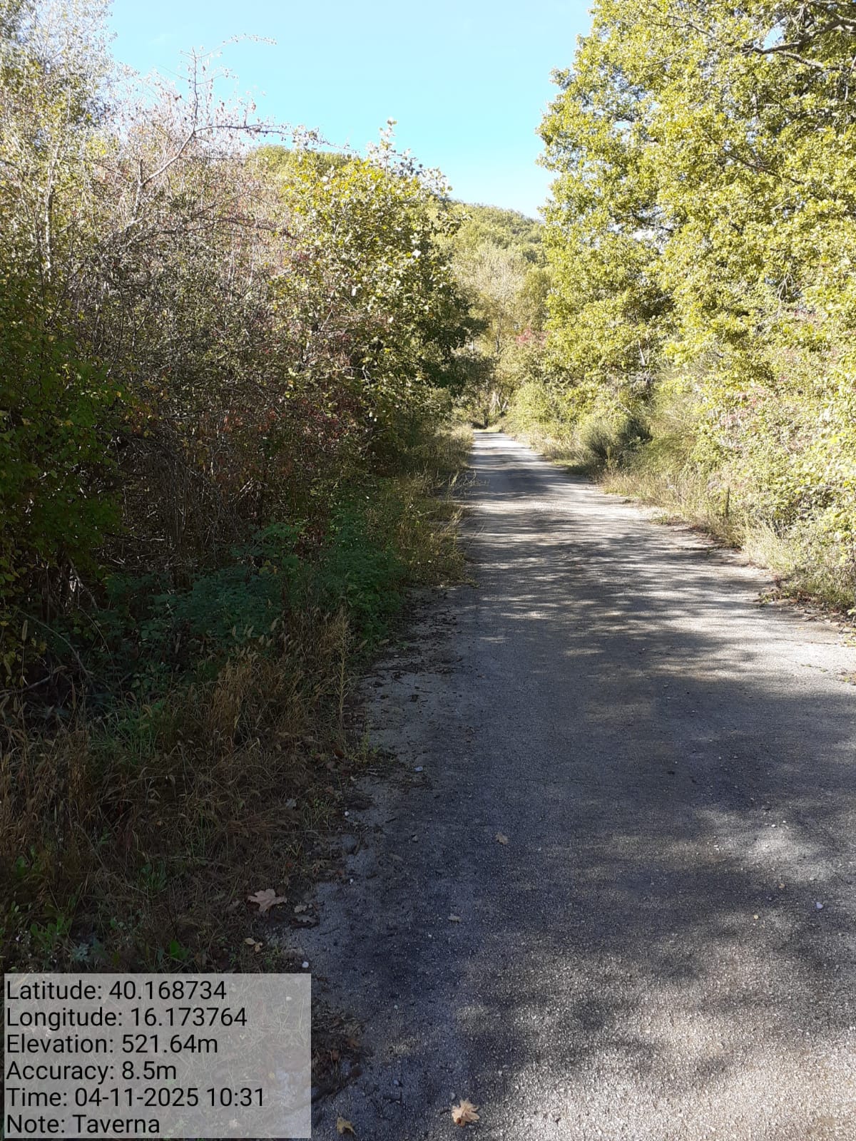 Galleria Fotografica Immagine