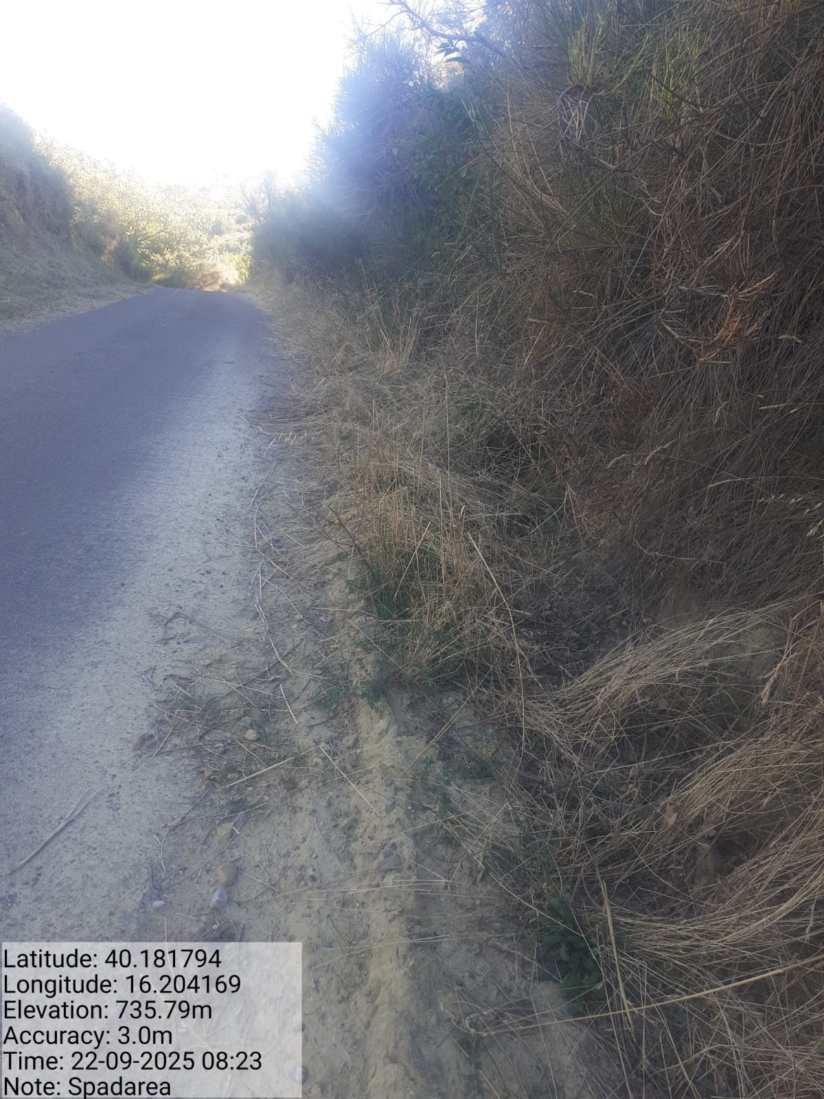 Galleria Fotografica Immagine