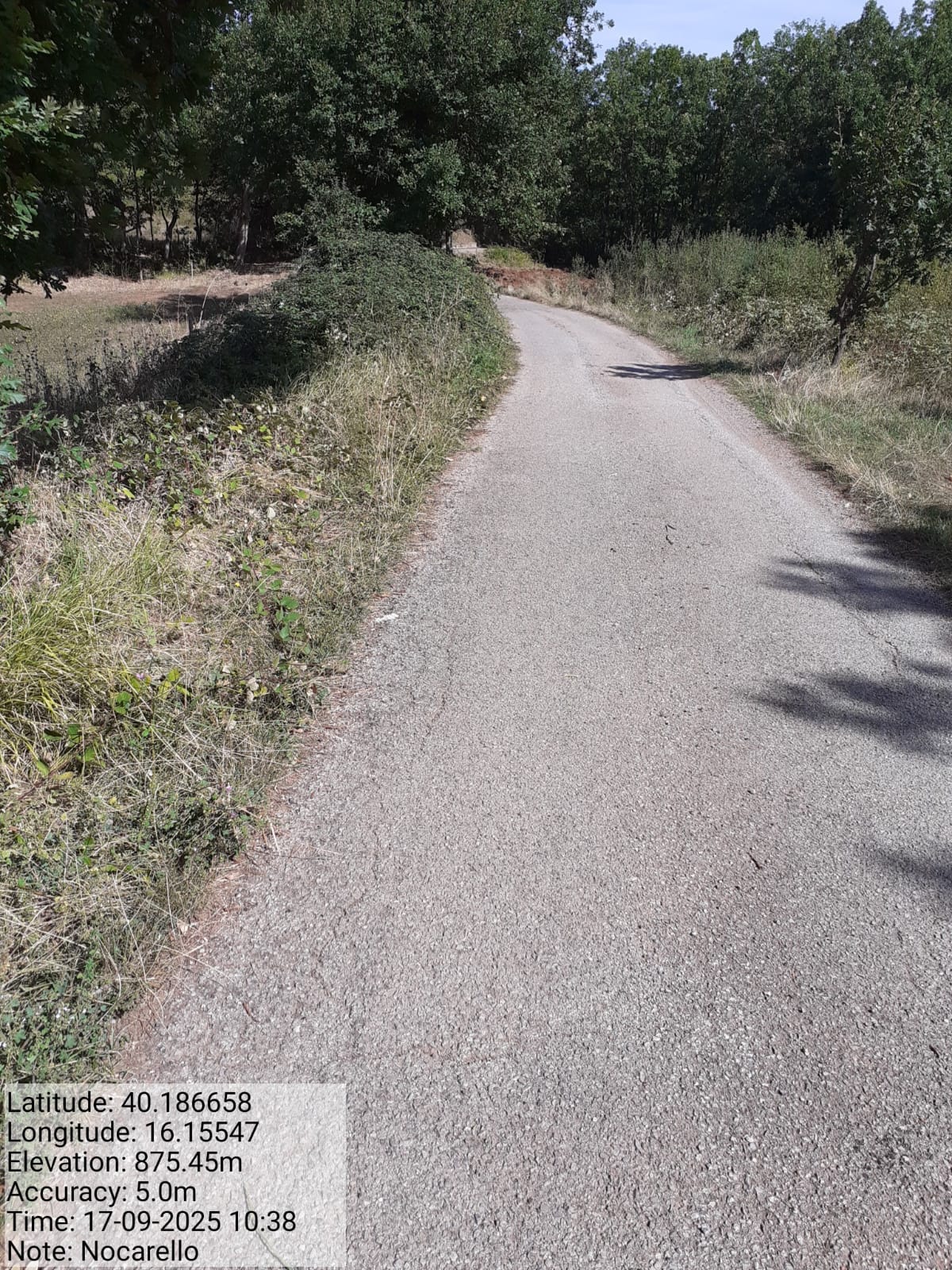 Galleria Fotografica Immagine