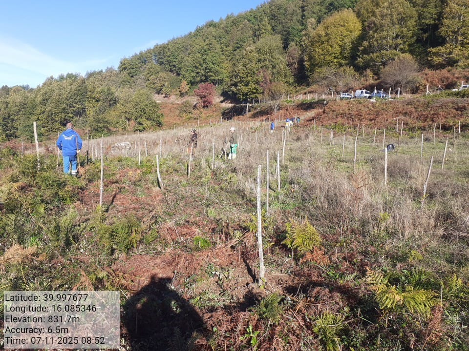 Galleria Fotografica Immagine
