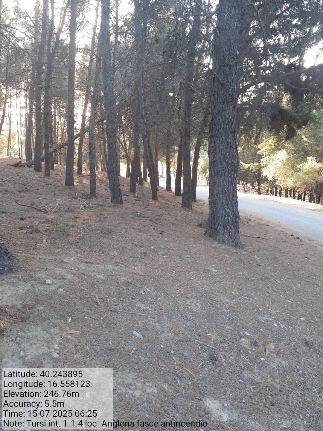 Galleria Fotografica Immagine