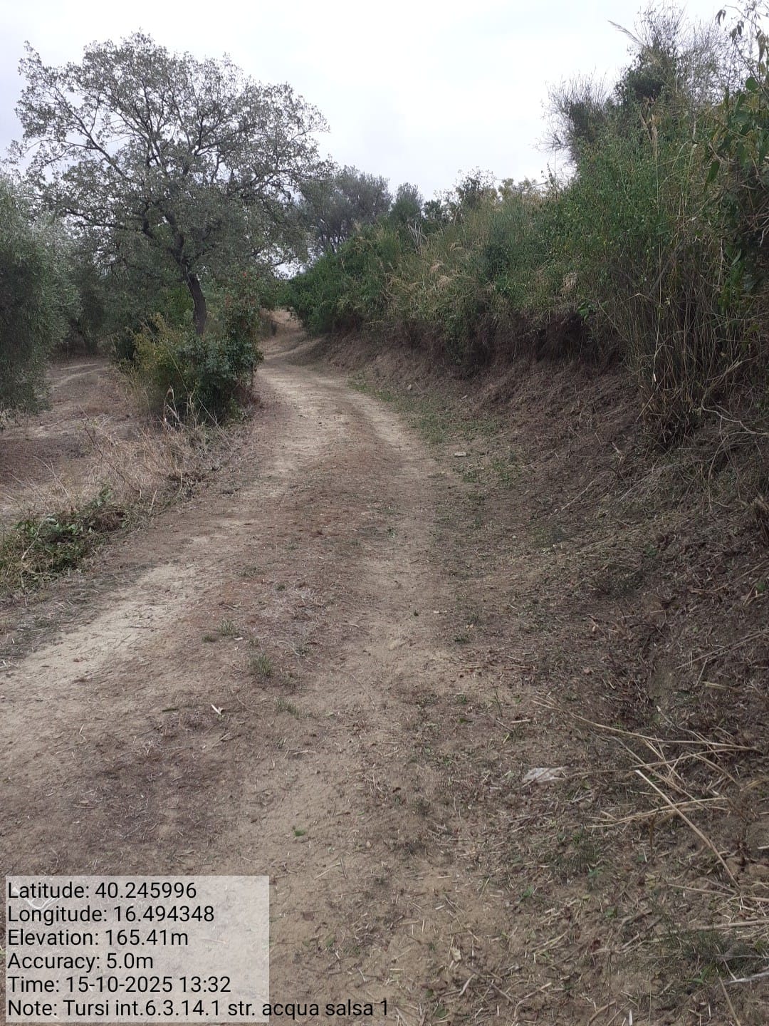 Galleria Fotografica Immagine