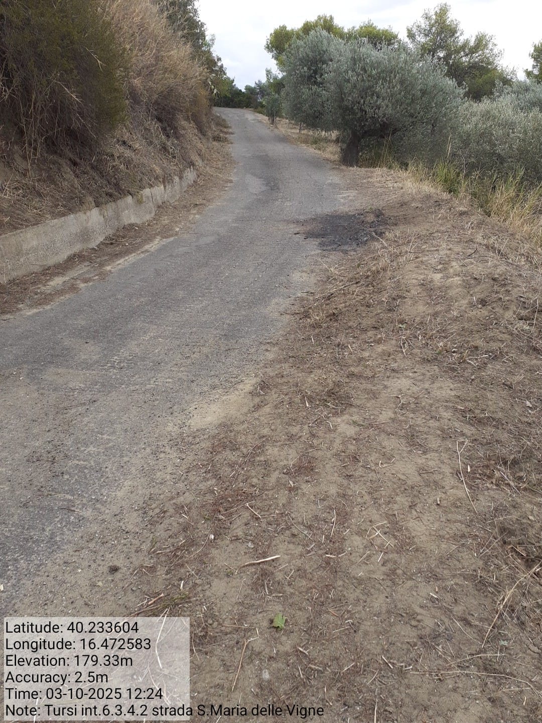 Galleria Fotografica Immagine