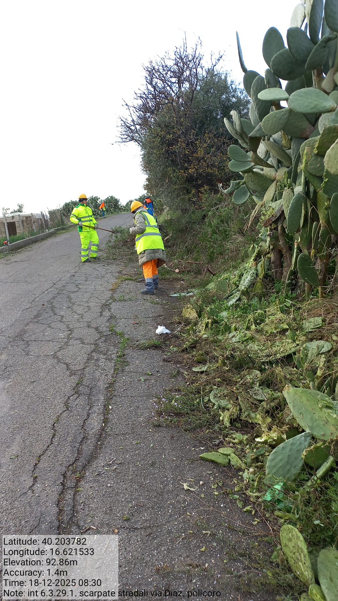 Galleria Fotografica Immagine