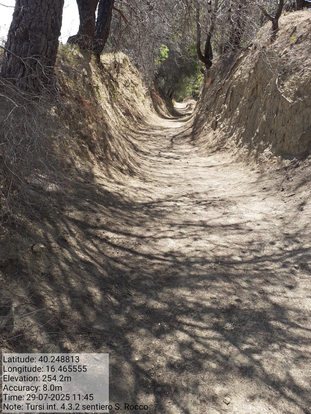 Galleria Fotografica Immagine