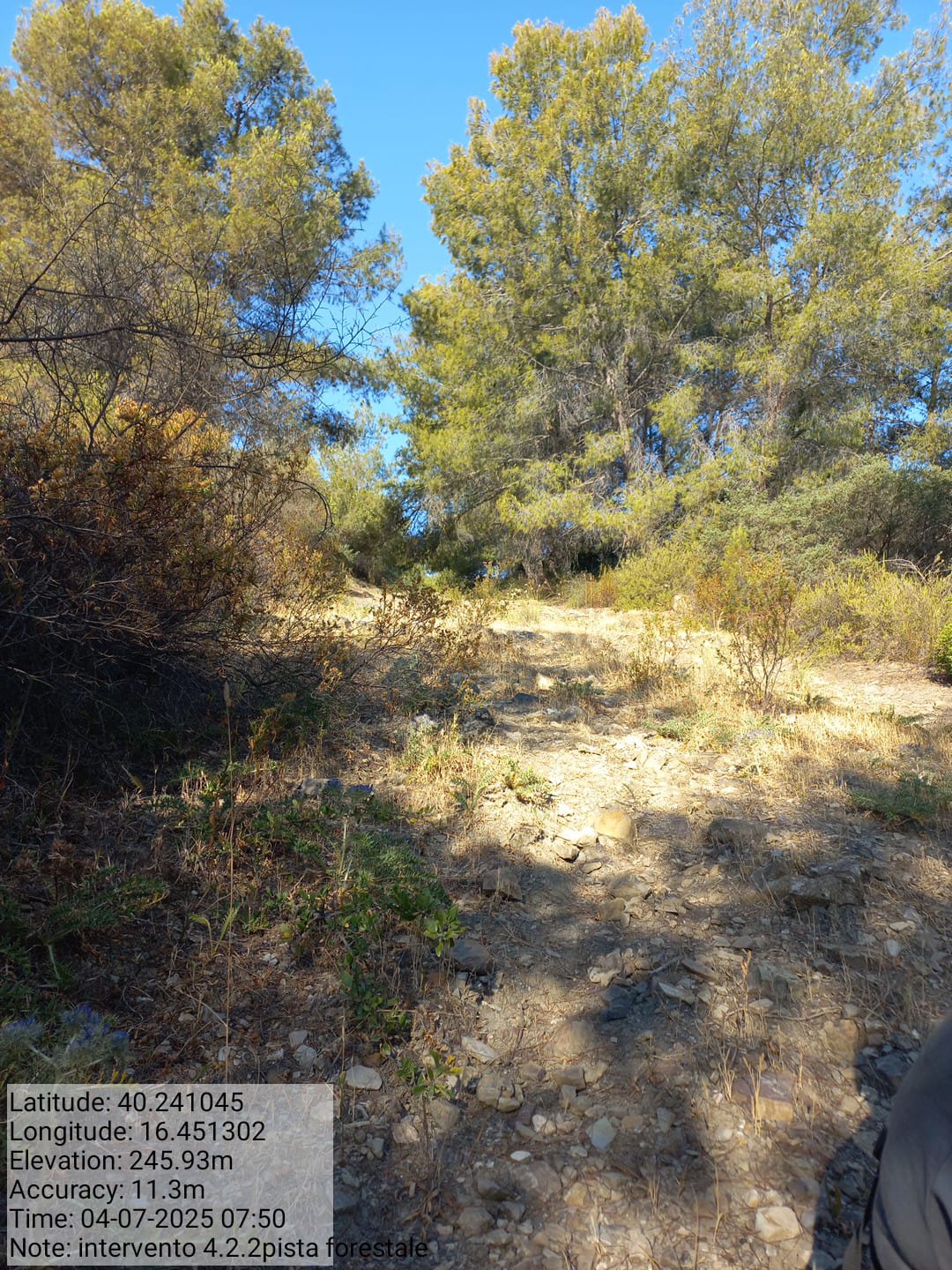 Galleria Fotografica Immagine