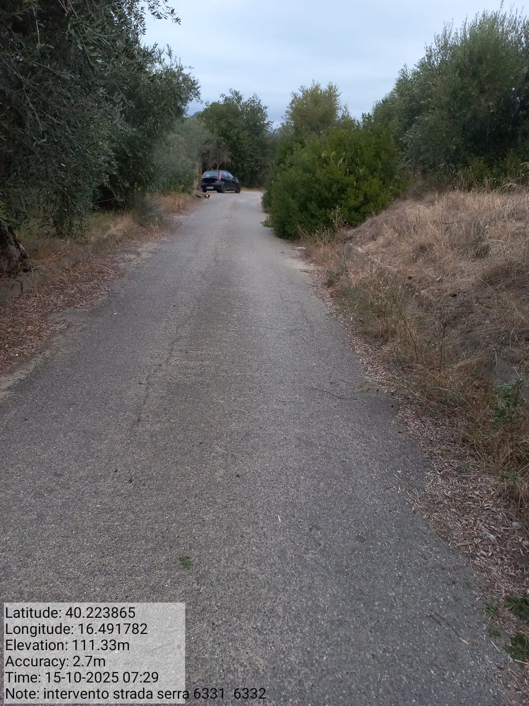 Galleria Fotografica Immagine