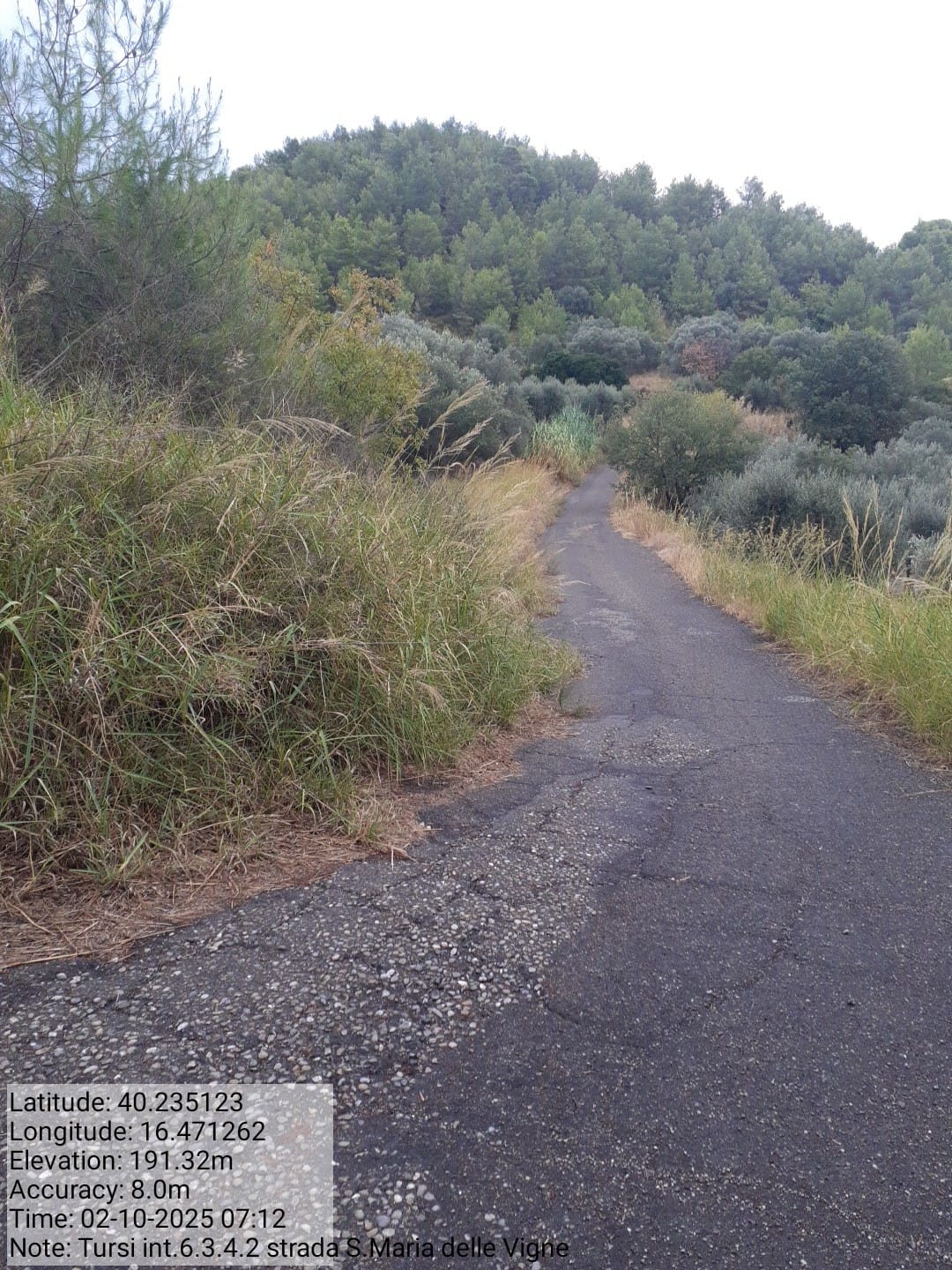 Galleria Fotografica Immagine