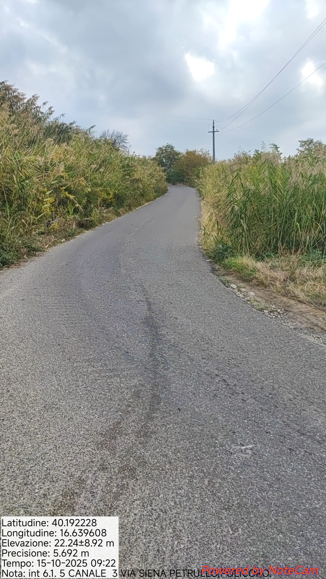 Galleria Fotografica Immagine