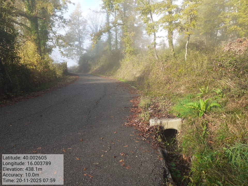 Galleria Fotografica Immagine