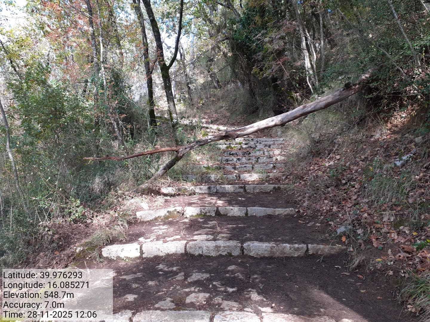 Galleria Fotografica Immagine