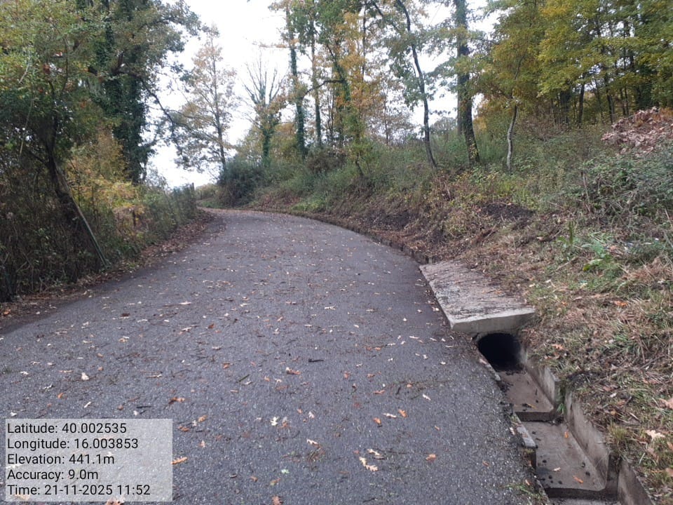 Galleria Fotografica Immagine