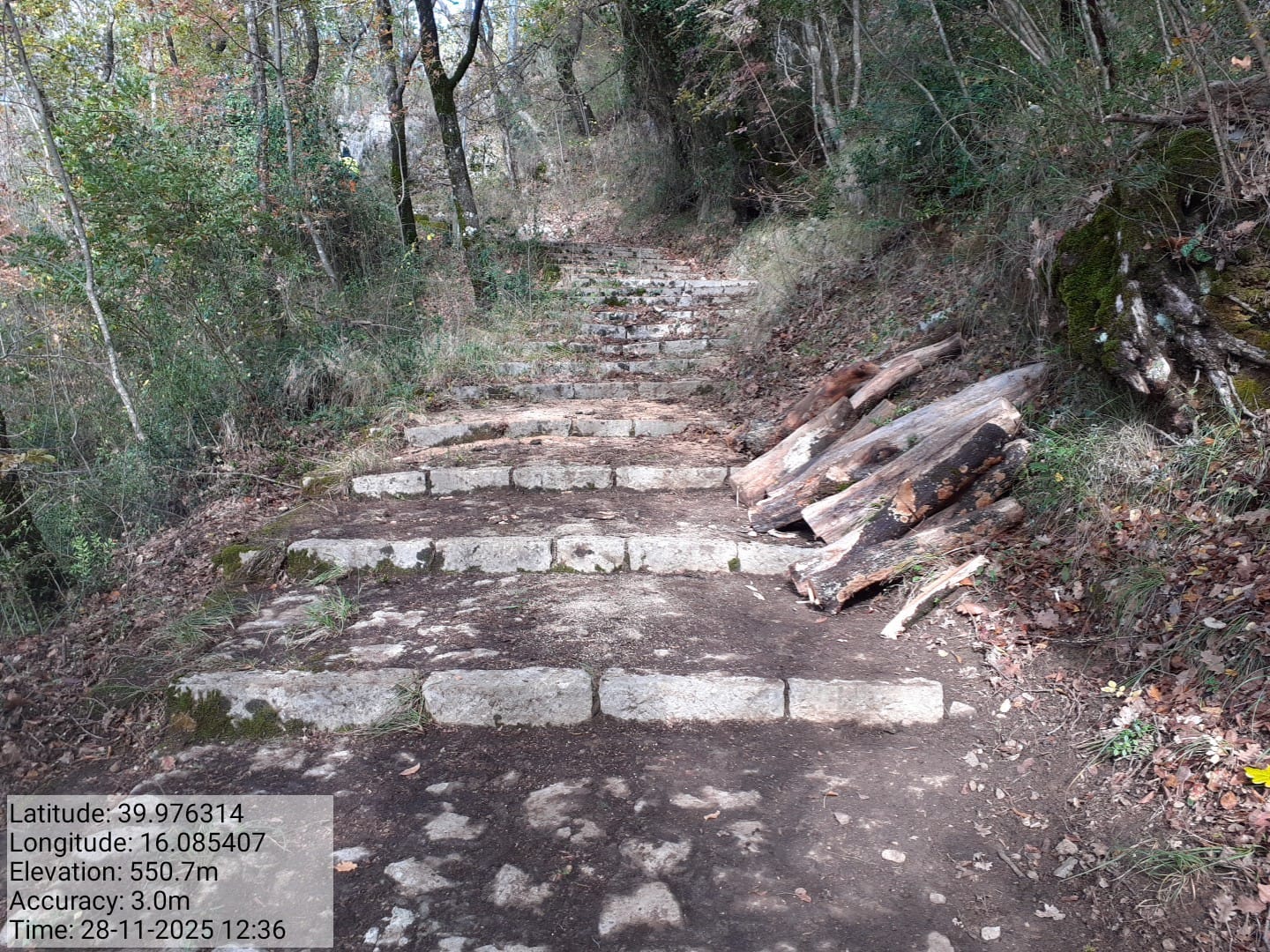 Galleria Fotografica Immagine