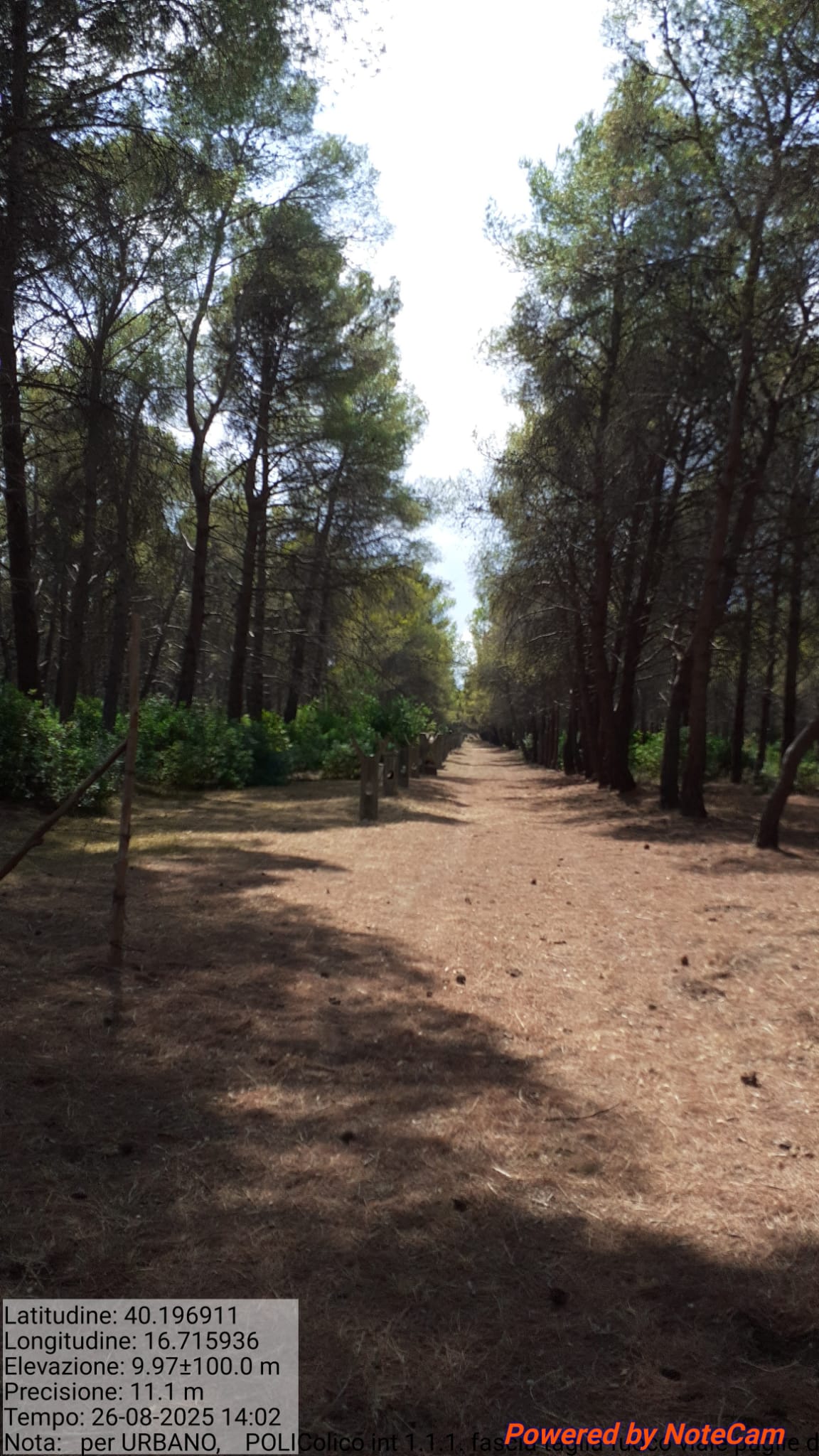 Galleria Fotografica Immagine